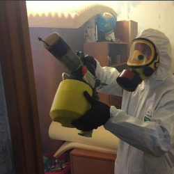 Уничтожение клопов в квартире. Севск